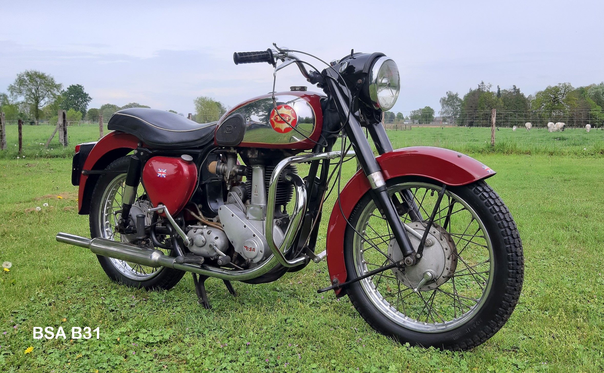 BSA B31, 1956