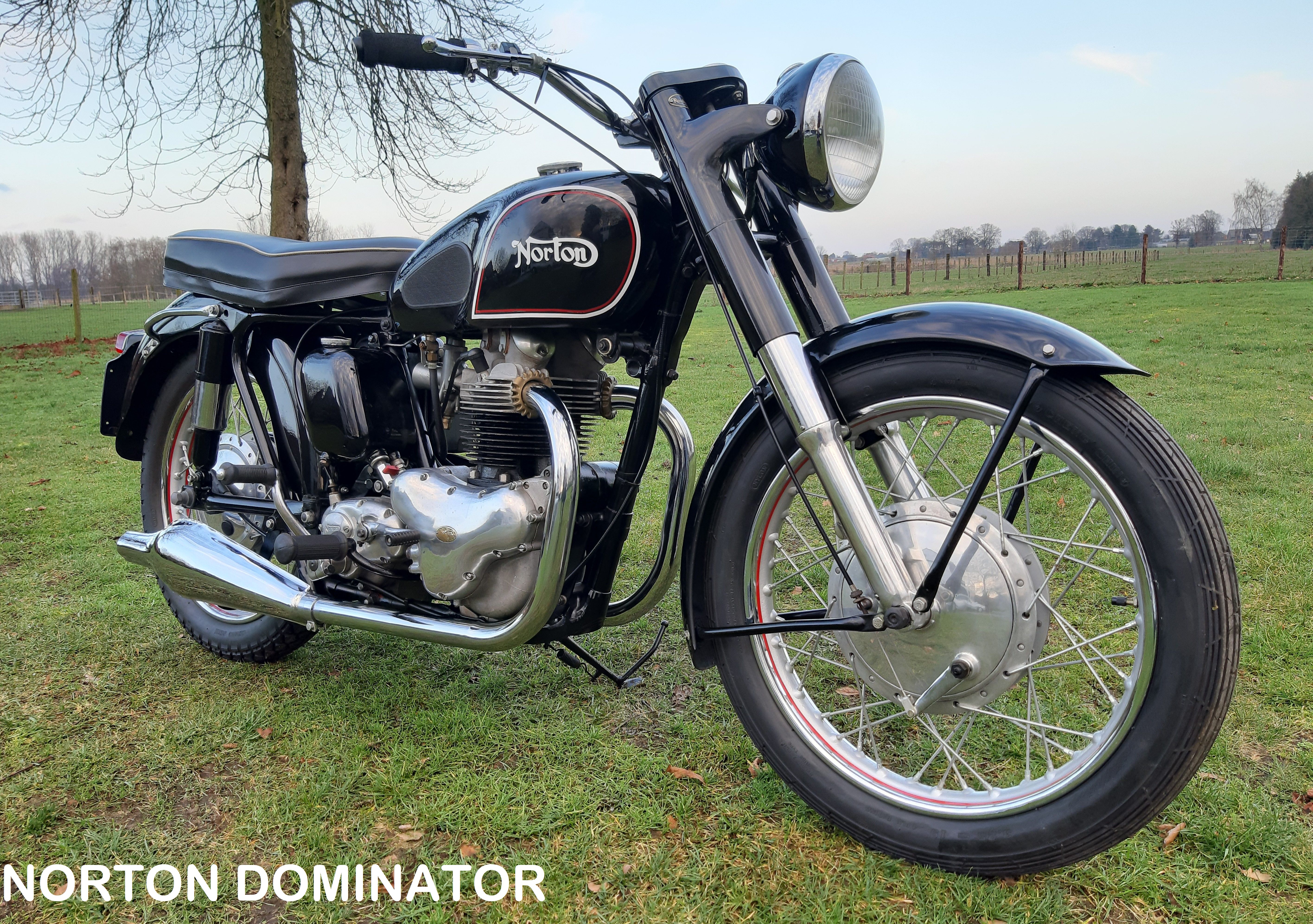 Norton Dominator