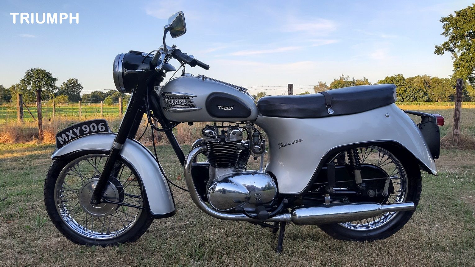 Triumph